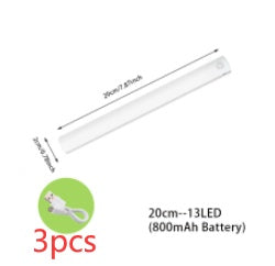 Wireless LED Night Light Of Motion Sensor